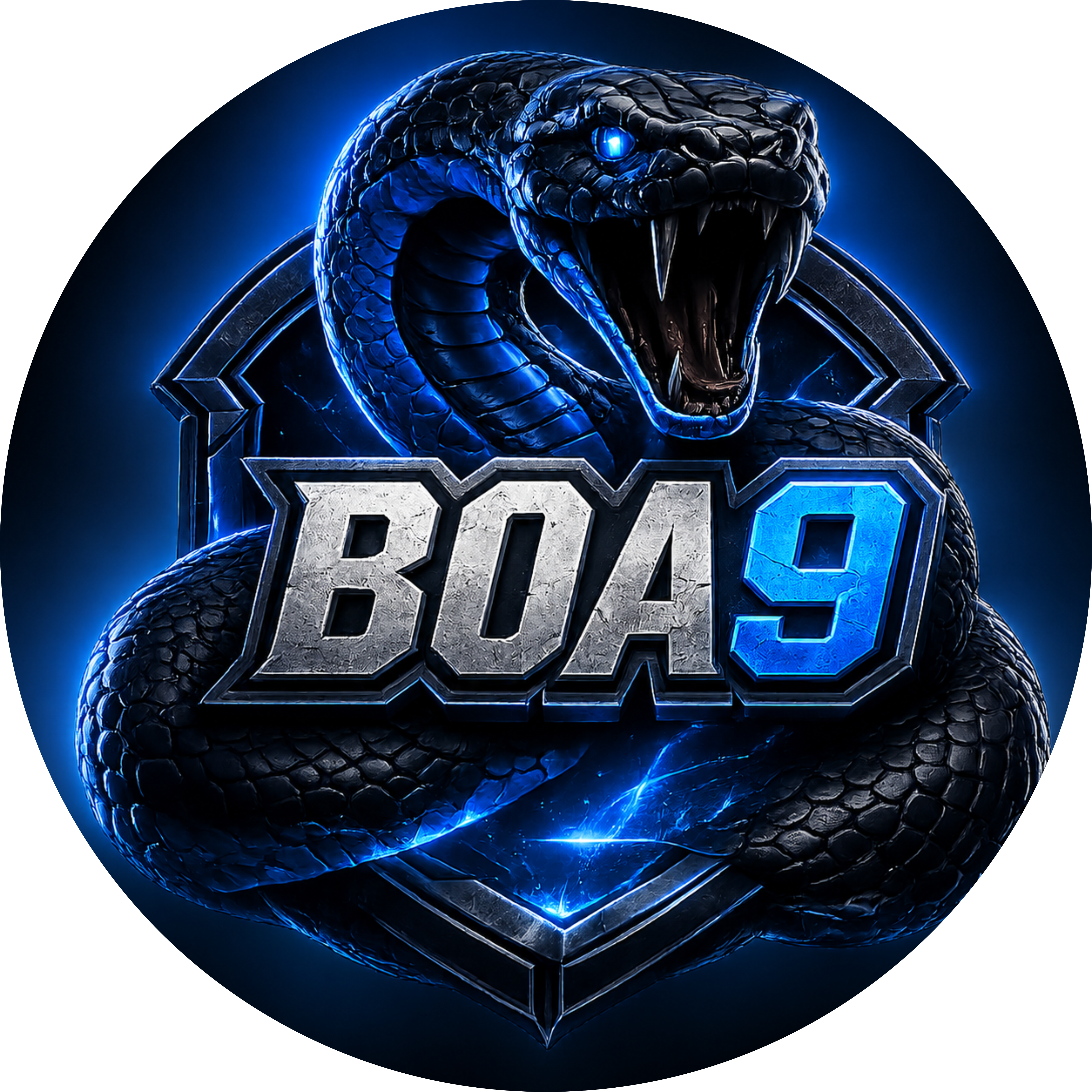 BOA9 Logo